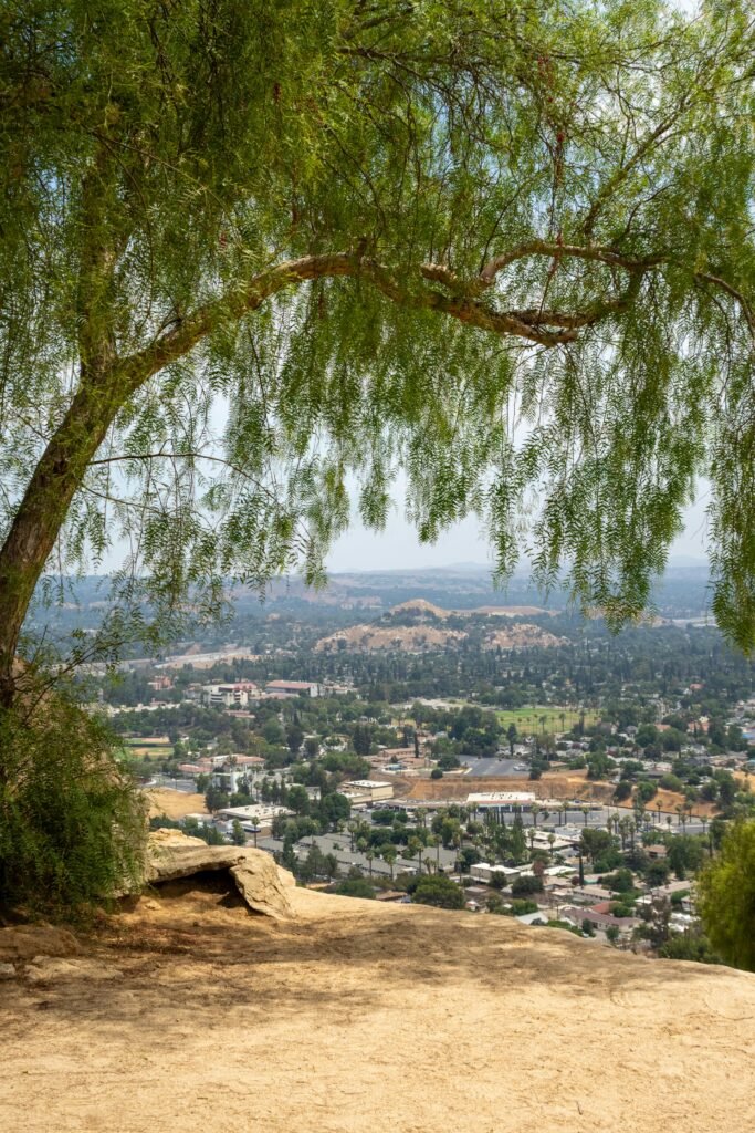 Aliso Viejo View